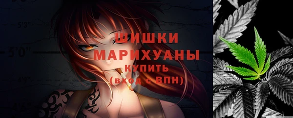 Альфа ПВП Гусиноозёрск