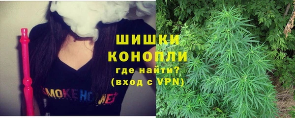 ПСИЛОЦИБИНОВЫЕ ГРИБЫ Гусь-Хрустальный
