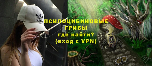 Альфа ПВП Гусиноозёрск